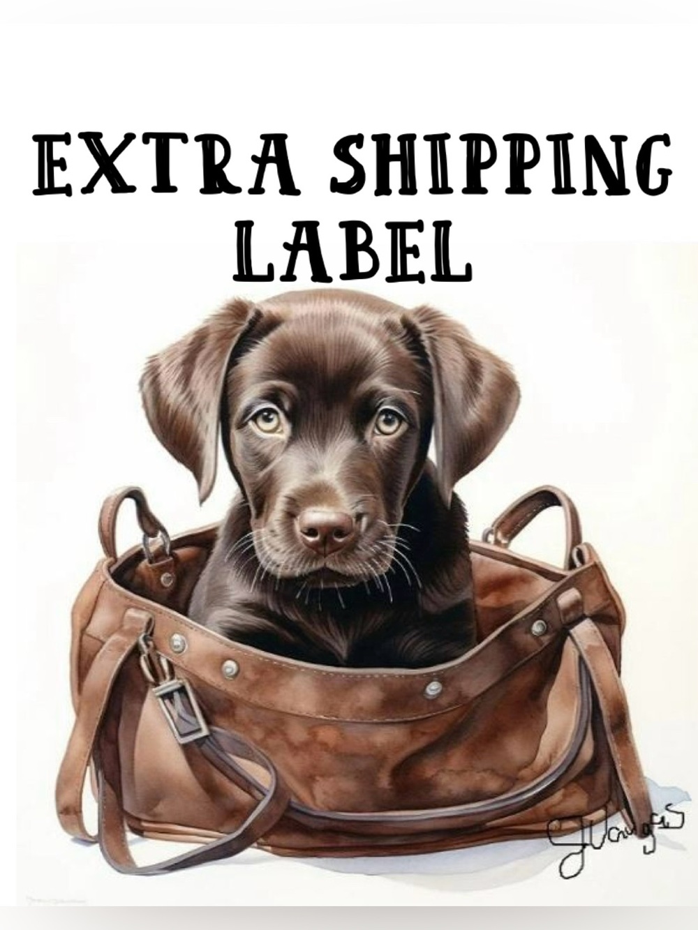 Extra Shipping $ Label